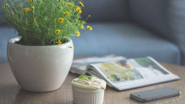 5 tips til indretning, der får dit hjem til at blomstre